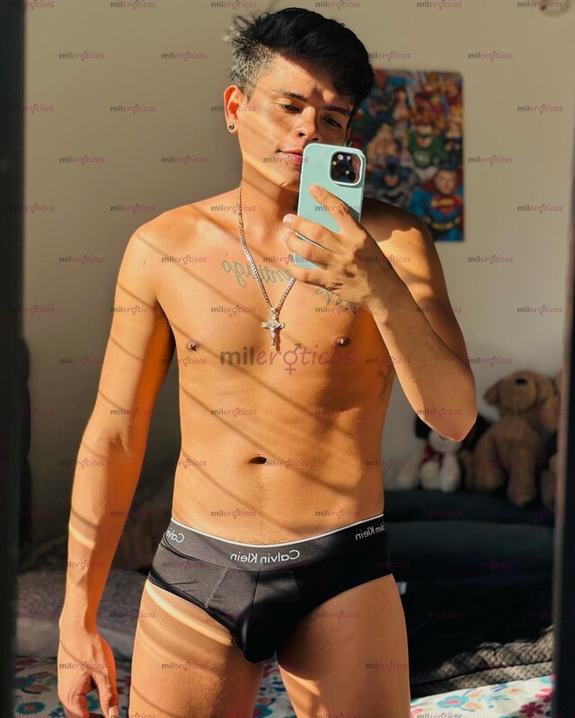 FOTOS DE UNIVERSITARIO POLLO VERGON VERSATIL LECHERO