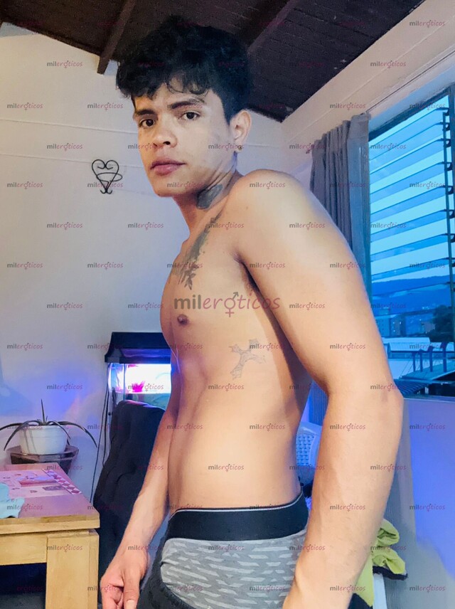 FOTOS DE UNIVERSITARIO POLLO VERGON VERSATIL LECHERO