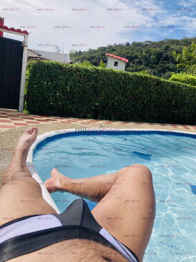 FOTOS DE VENEZOLANO 100% ACTIVO 23 CM FULL LECHERO