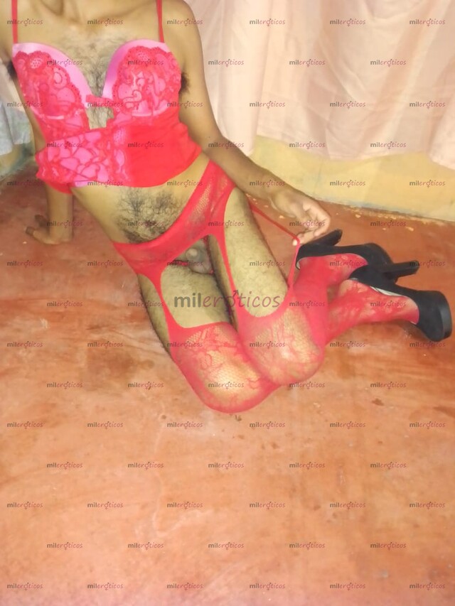 FOTOS DE SOY TU NIÑA TRANSEXUAL..ESTAS CALIENTE LLÁMAME