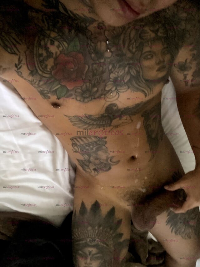 FOTOS DE TATUADO CON 19 CM LECHERO VIVO SOLO APARTAMENTO BIEN ÚBICADO