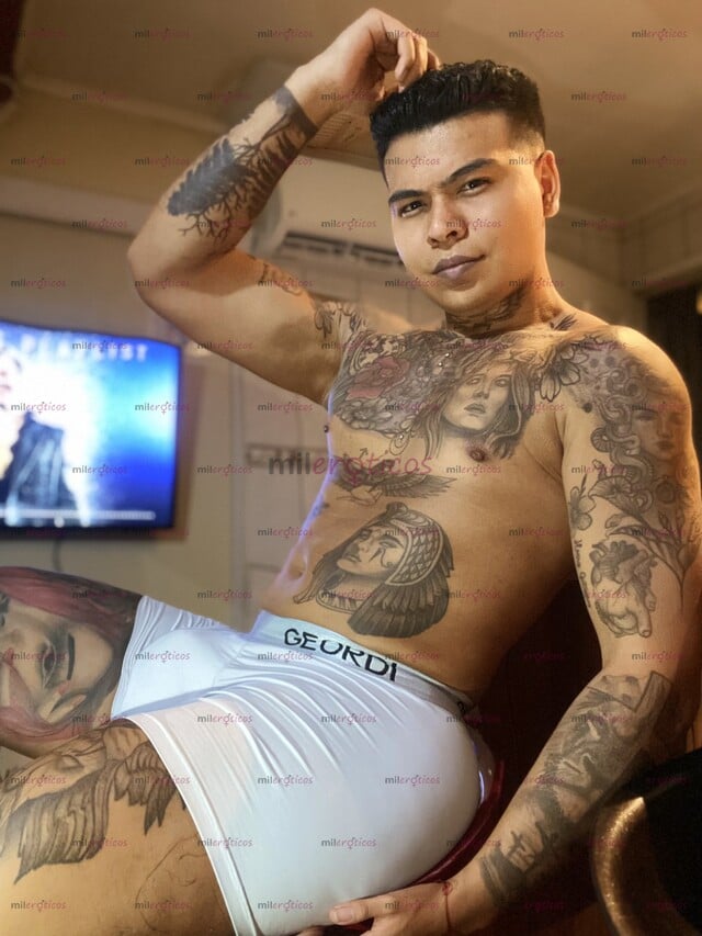 FOTOS DE TATUADO CON 19 CM LECHERO VIVO SOLO APARTAMENTO BIEN ÚBICADO