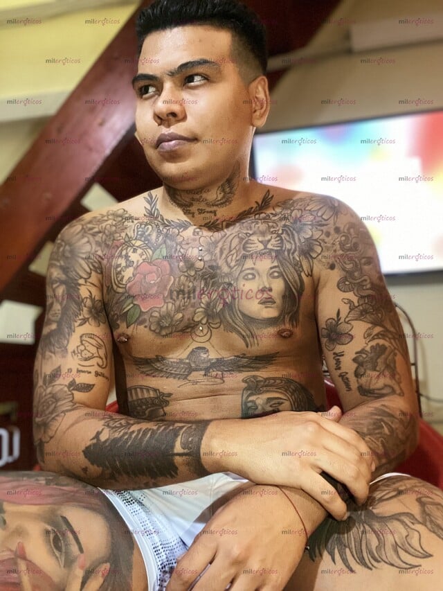 FOTOS DE TATUADO CON 19 CM LECHERO VIVO SOLO APARTAMENTO BIEN ÚBICADO