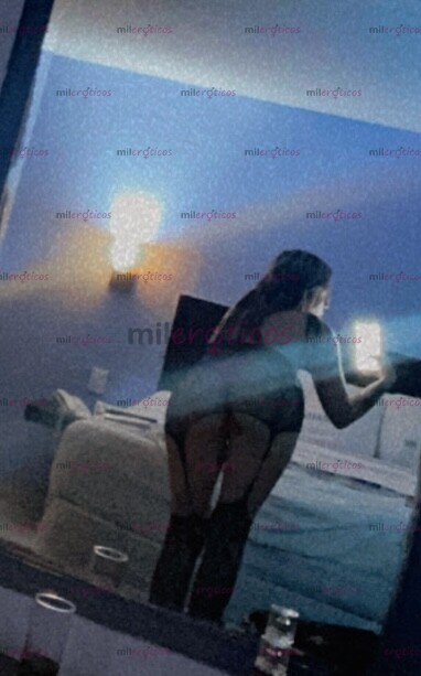 FOTOS DE HOLA SOY CONEJA Y ME QUIERO DIVERTIR CONTIGO