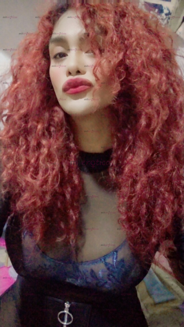 FOTOS DE ÚNICO DIA EXPERTA SEXUAL!! SERÉ TU HERMOSA FANTASÍA TRANS SUPER COMPLACIENTE