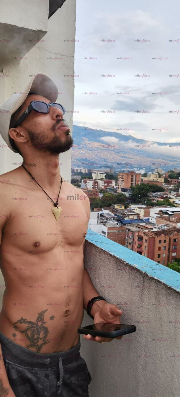 FOTOS DE COLOMBO ÁRABE VERGÓN DISPUESTO A COMPLACERTE