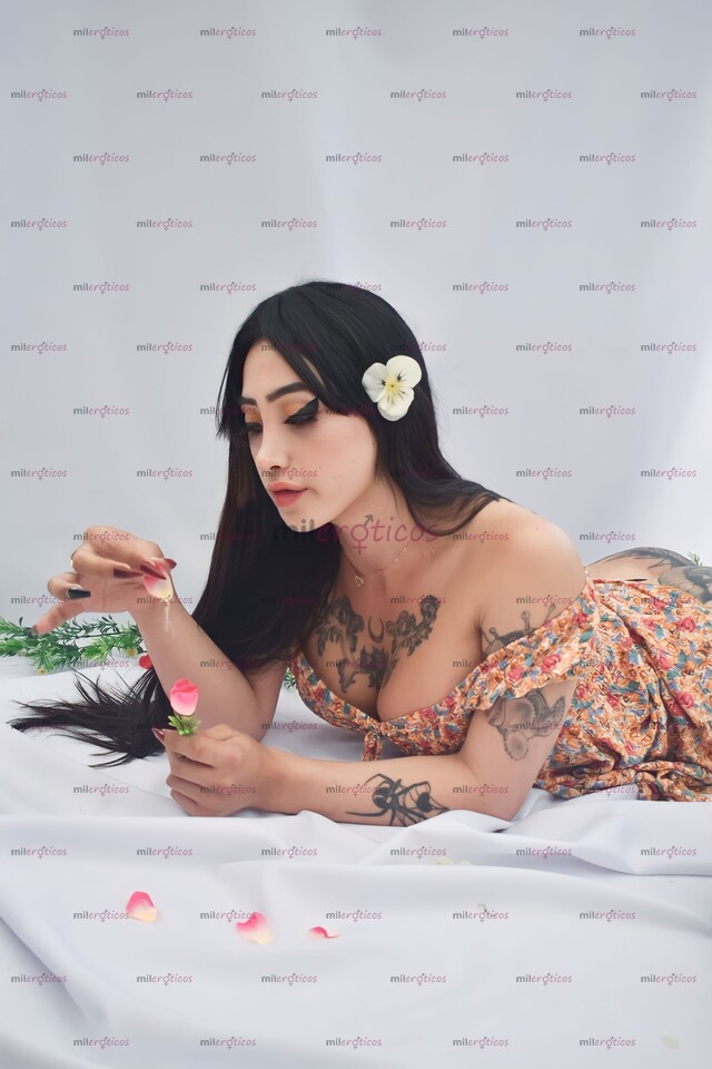 FOTOS DE HERMOSA TRANS VIP VEN Y HACEMOS EL AMOR A ESTOY EN TU CIUDAD