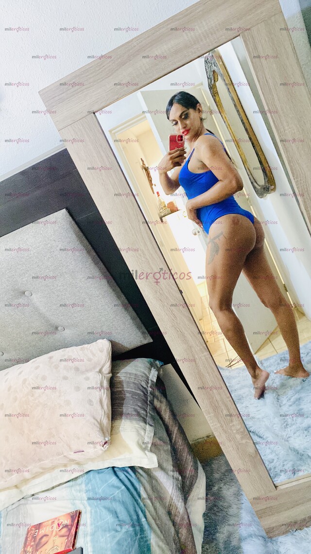 FOTOS DE LLEGUE A TU CD TETAS ,CULOTE , VERGA 19 CM BUENA ERECCION, LECHE MASAJES EXTRAS