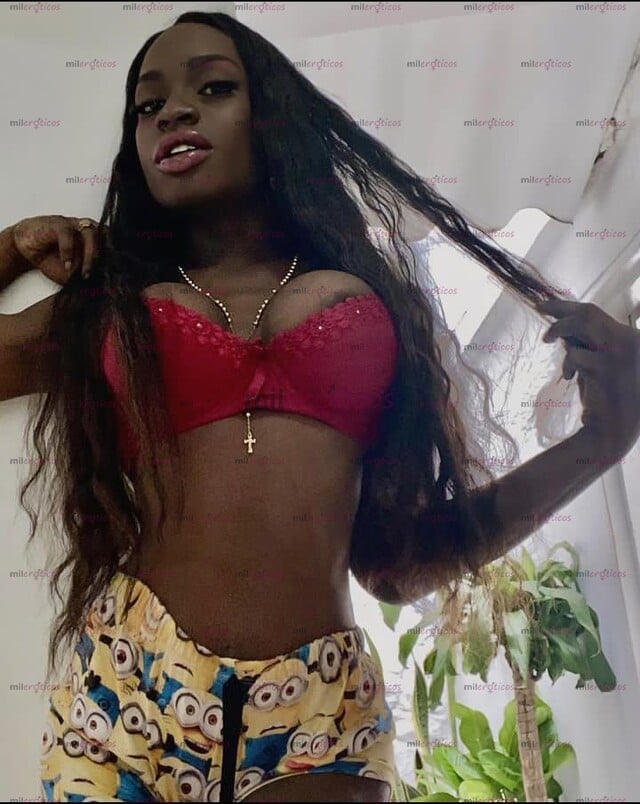 FOTOS DE HOLA SOY PAOLA UNA MORENA EXOTICA CARIBEÑA RECIÉN LLEGADA A TU CIUDAD
