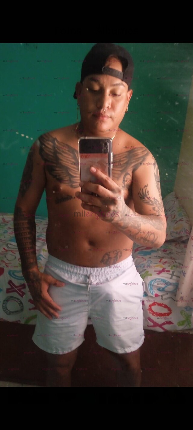 FOTOS DE COSTEÑO VERGÓN LECHERO 21CM LLEGA ALAS PANTALLAS