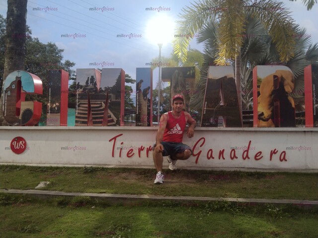 FOTOS DE A QUI ESTÁ TU CAMALEÓN EL QUE TE QUITARÁ LAS GANAS