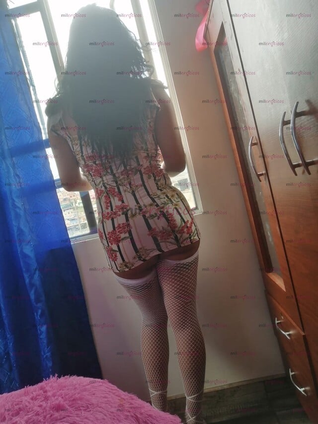 FOTOS DE LLEGO CAMILA TRANS GOLOSA FEMENINA Y MENTE ABIERTA SIN NADA DE TABÚS 100 REAL