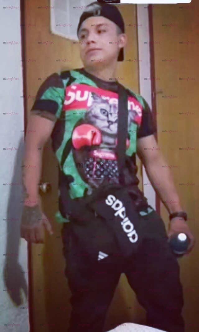 FOTOS DE CHACALON ACTIVO DOMINANTE COMPLACIENTE RUMBERO 19 CM