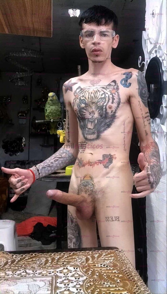 FOTOS DE FLACO VERGON ACTIVO TATUADO MORBOSO VENTA DE VIDEOS CASEROS Y VIDEO LLAMADA