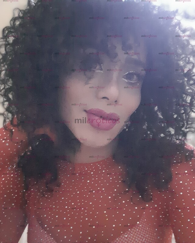 FOTOS DE SUCULENTO CARAMELO MASISO COMPLACIENTE PARA DOMINARTE