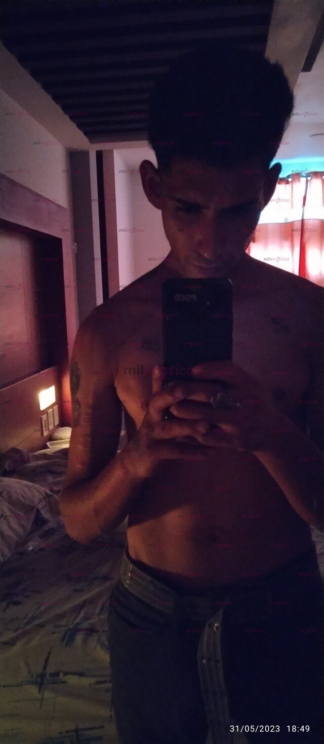 FOTOS DE $$800$$CHACAL DOTADO DISPONIBLE SIN LUGAR $$800$$