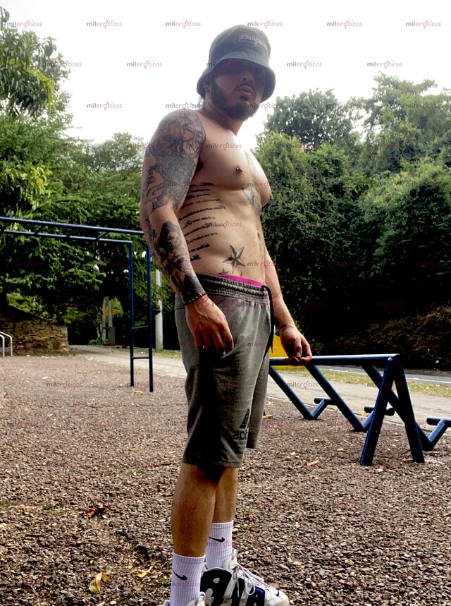 FOTOS DE PERRO CON MUCHAS GANAS DE COMER HUECO Y LLENARLOS DE LECHE