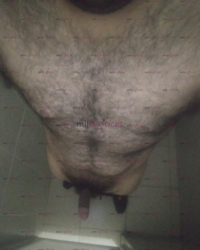 FOTOS DE OSO PELUDO Y DISCRETO A TUS ÓRDENES Y MUY COMPLACIENTE