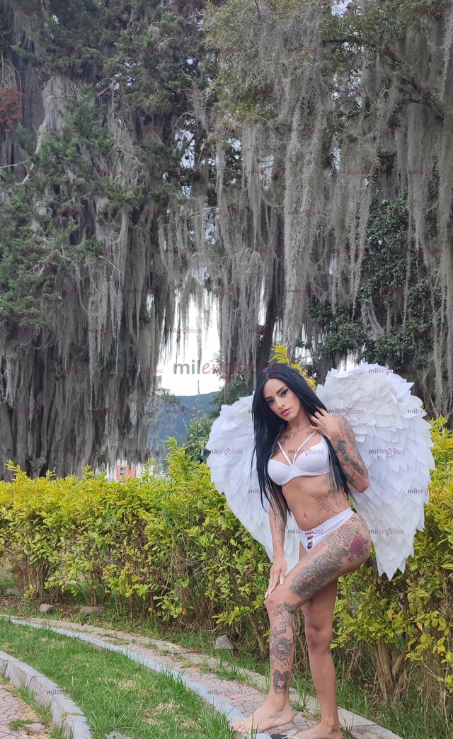 FOTOS DE HERMOSA TRANS X POCOS DIAS EN TU CIUDAD VEN Y DISFRUTEMOS DEL SEXO SIN AFANES