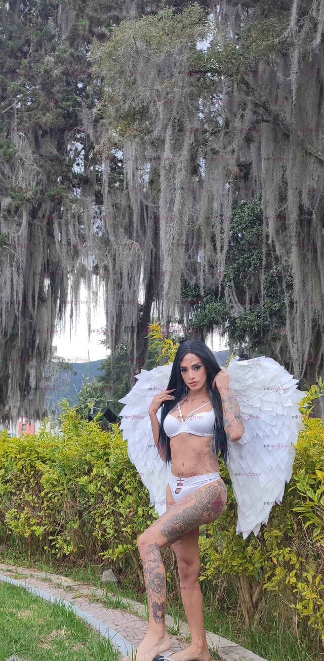 FOTOS DE HERMOSA TRANS X POCOS DIAS EN TU CIUDAD VEN Y DISFRUTEMOS DEL SEXO SIN AFANES