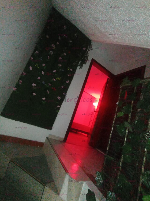 FOTOS DE RESERVADO DISCRETO PARA TRABAJAR COMO ESCORT... ANIMATE!! EXCELENTES INGRESOS