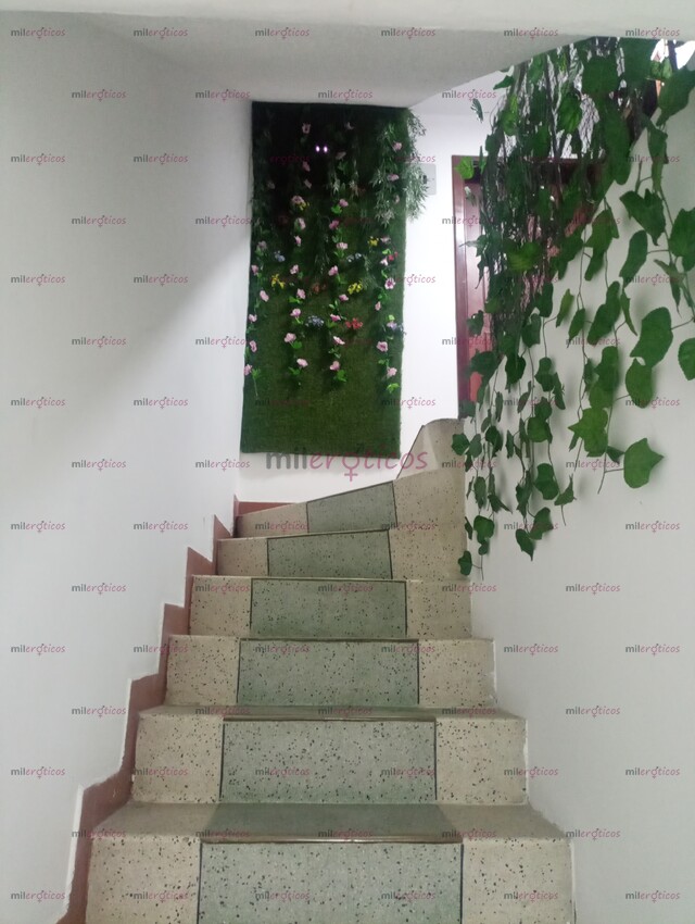 FOTOS DE RESERVADO DISCRETO PARA TRABAJAR COMO ESCORT... ANIMATE!! EXCELENTES INGRESOS