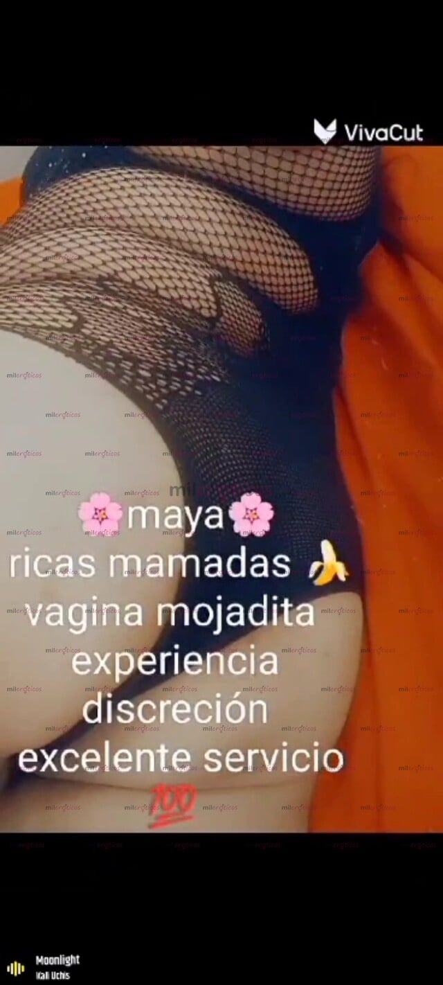 FOTOS DE 733 5844654 CACHONDA MULTIORGASMICA SUPER COMPLACIENTE RICAS MAMADAS 100% MUJER