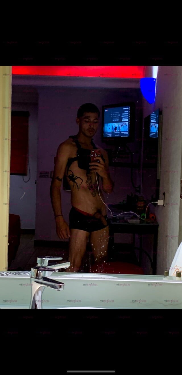 FOTOS DE CALIENTE24 SIEMPRE, 18 CM REALES, PREÑO A DOMICILIO, MUCHA LECHE GARANTIZADA