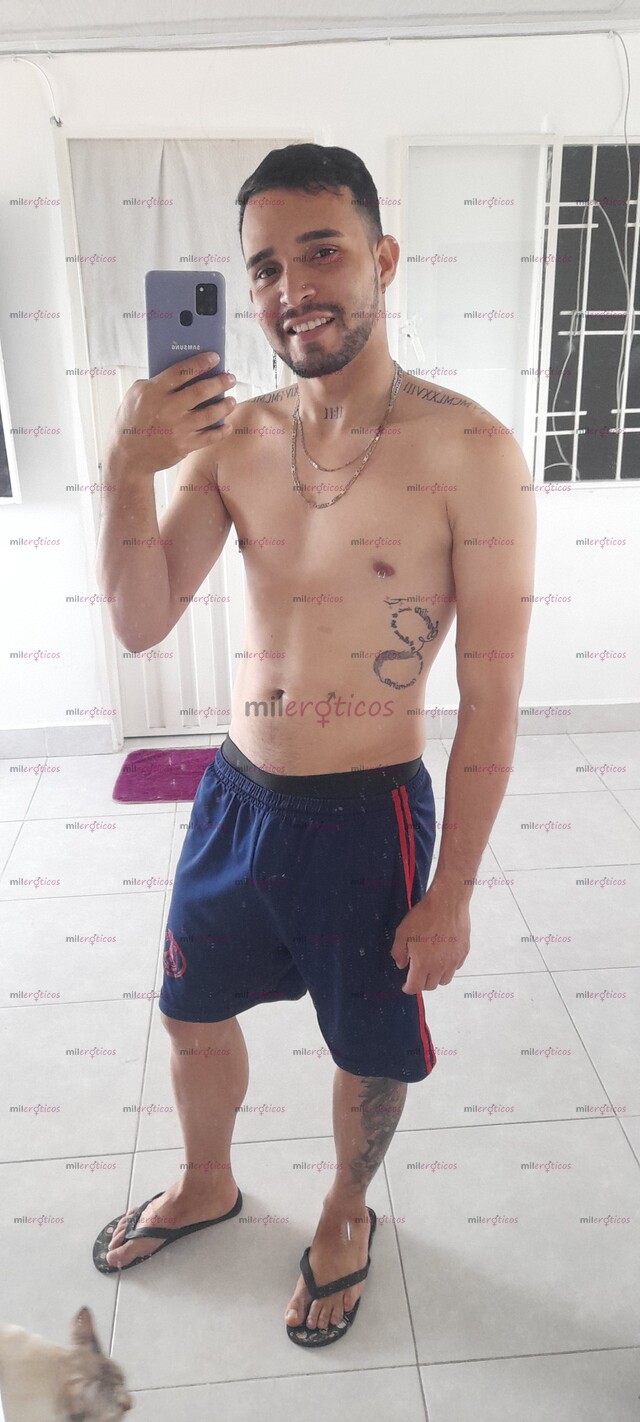 FOTOS DE POLLO VERSATIL ARRECHO UBICADO EN BUCARAMANGA