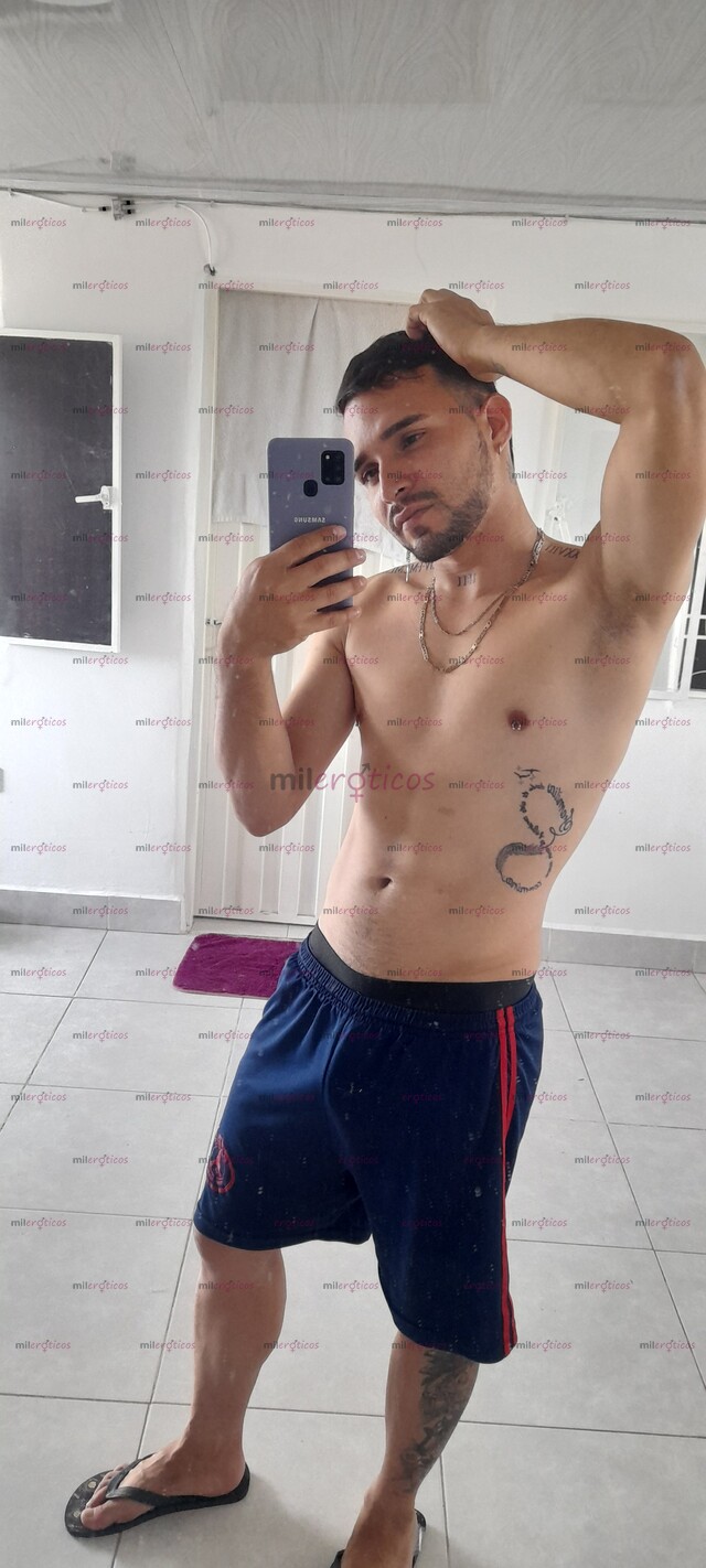 FOTOS DE POLLO VERSATIL ARRECHO UBICADO EN BUCARAMANGA