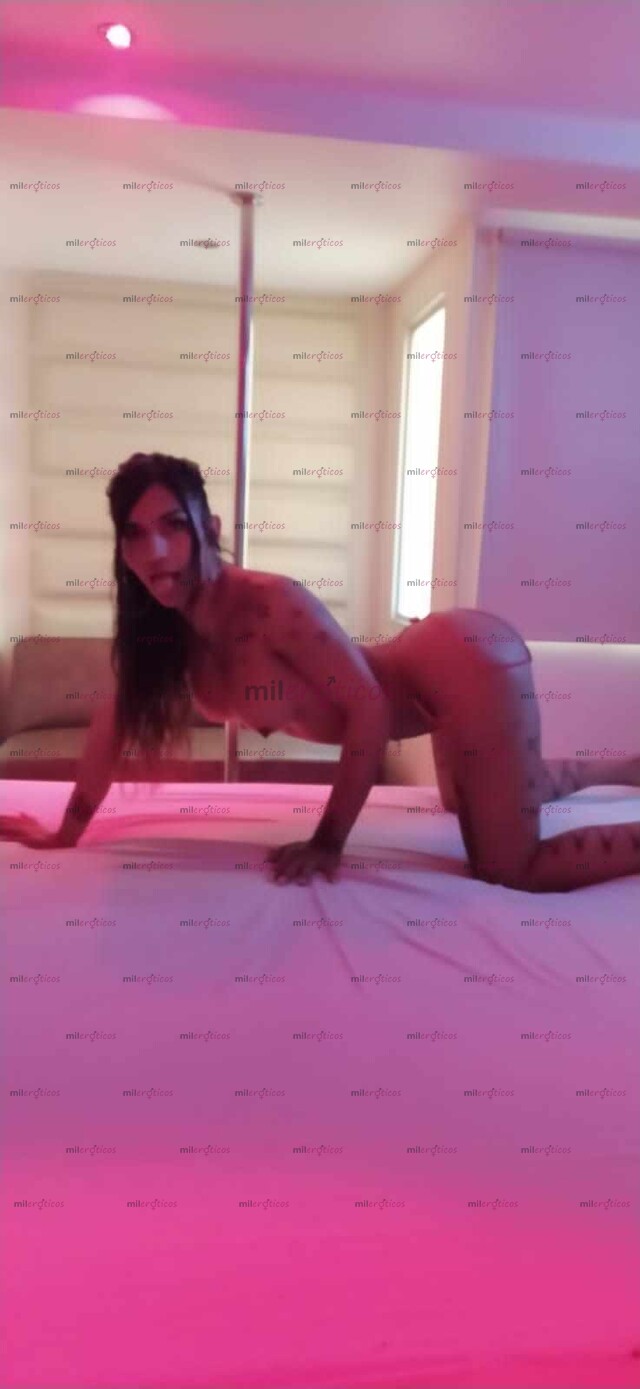 FOTOS DE SOLO DOMICILIOS...SEXY BITCH, DOTADA LECHERA, DELGADA, TETONA Y CULONA.