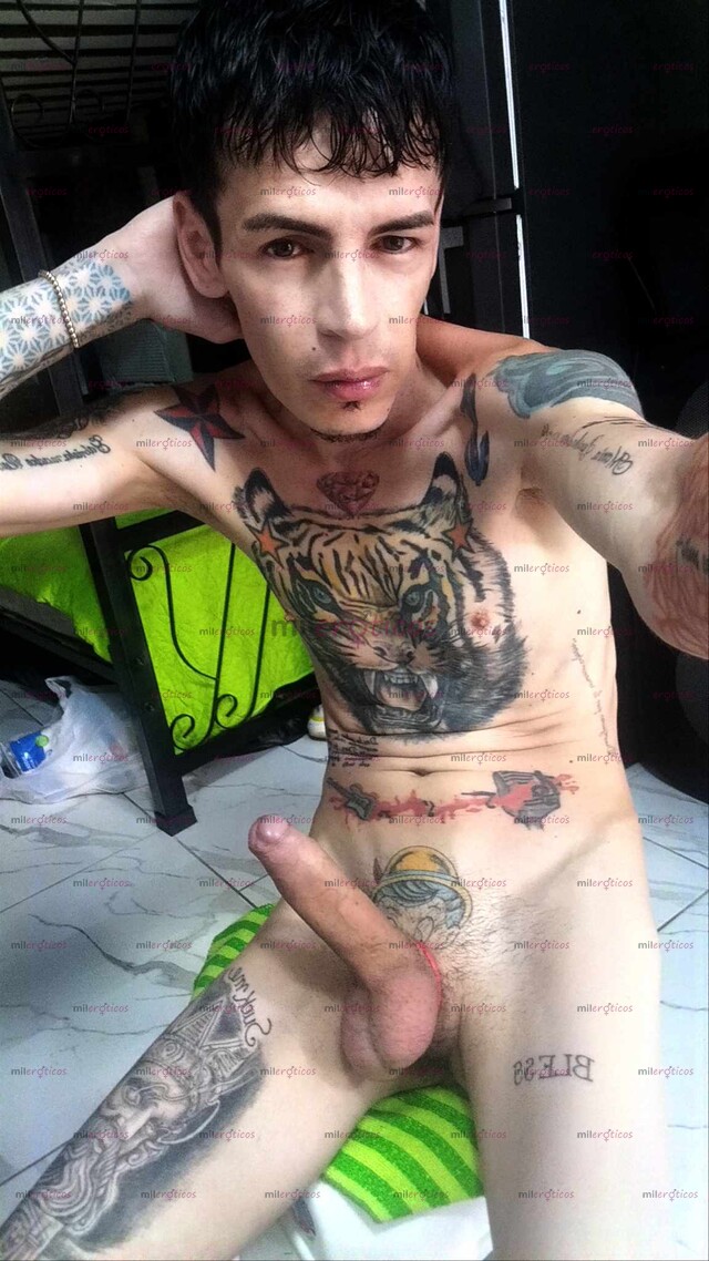 FOTOS DE BUENOS DIAS YO FLACO ACTIVO MORBOSO LECHERO VENTA CONTENIDO SEX Y VIDEO LLAMADAS