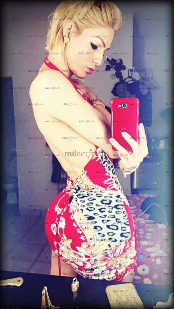 FOTOS DE LA WERA PERRITA DOTADA QUE ANDABAS BUSCANDO TU MEJOR OPCIÓN