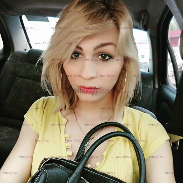 FOTOS DE LA WERA PERRITA DOTADA QUE ANDABAS BUSCANDO TU MEJOR OPCIÓN