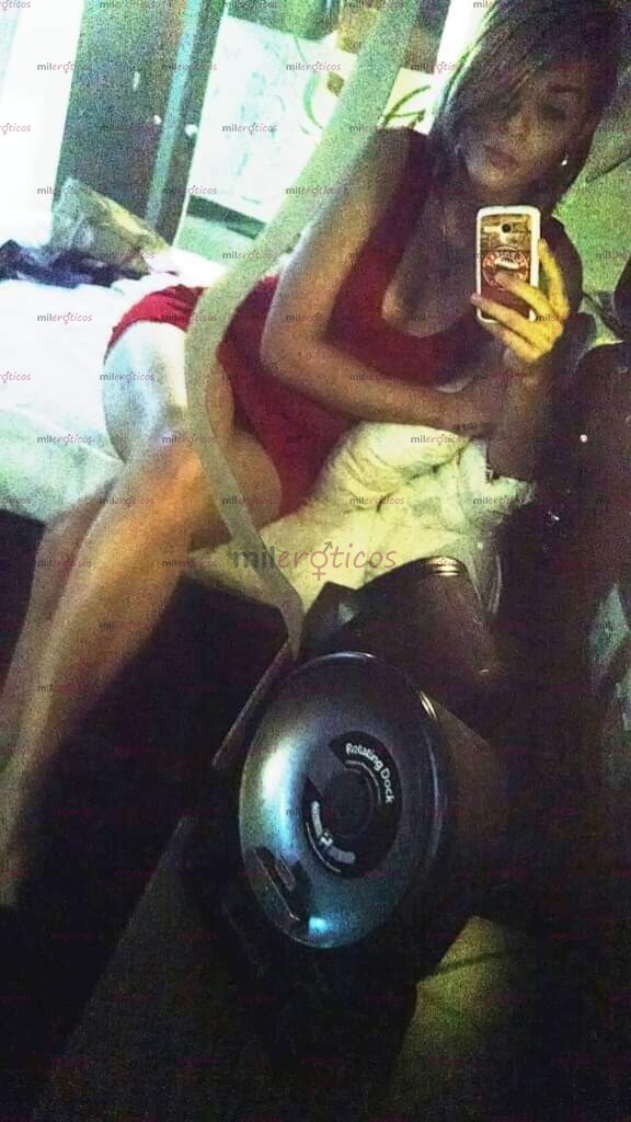 FOTOS DE LA WERA PERRITA DOTADA QUE ANDABAS BUSCANDO TU MEJOR OPCIÓN