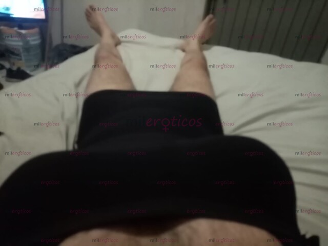 FOTOS DE LA WERA PERRITA DOTADA QUE ANDABAS BUSCANDO TU MEJOR OPCIÓN