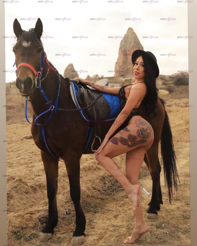 FOTOS DE NO BUSQUES NOVATAS LLEGUE YO PARA SER TU MEJOR ELECCIÓN