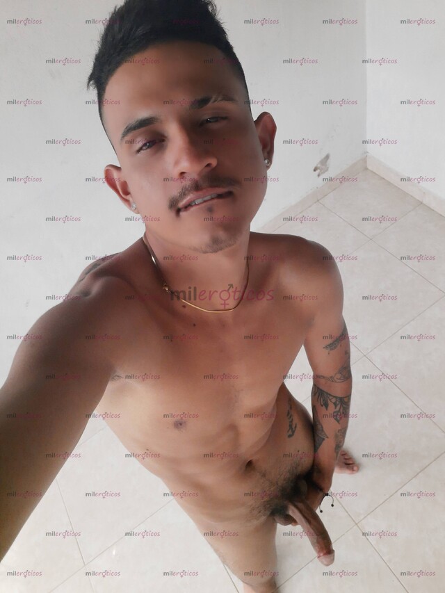 FOTOS DE POLLO DE VISITA SERIO VERSÁTIL ACTIVO C S