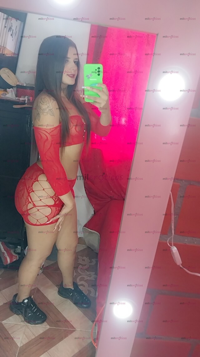 FOTOS DE PERRITA DOMINANTE POR POCOS DIAS EN TU CIUDAD