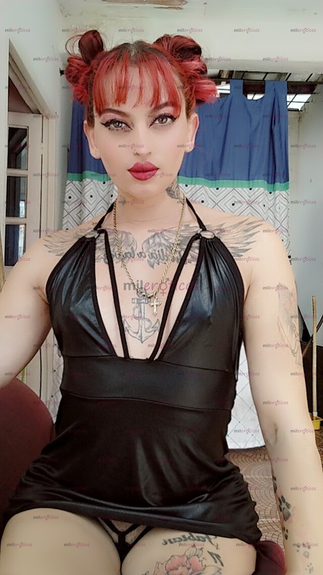 FOTOS DE TU TENTACIÓN ECHA TRANS, PERRITA VERSÁTIL COMPLACIENTE