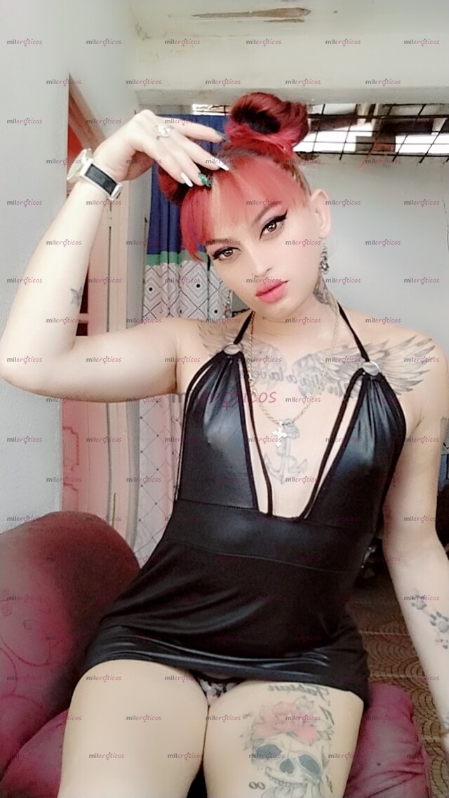 FOTOS DE TU TENTACIÓN ECHA TRANS, PERRITA VERSÁTIL COMPLACIENTE