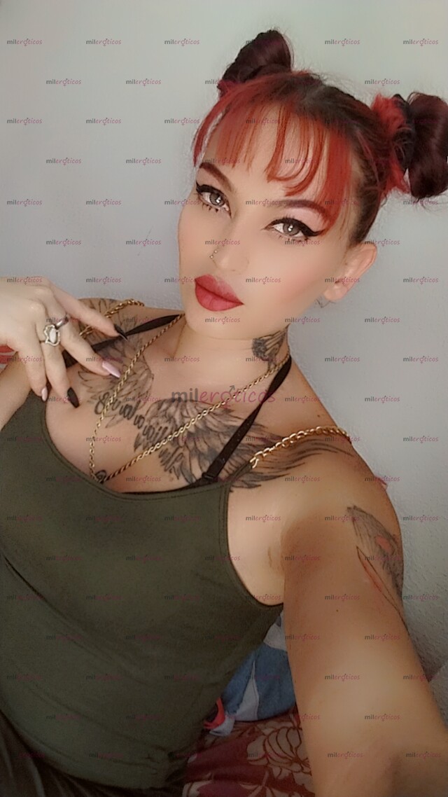 FOTOS DE TU TENTACIÓN ECHA TRANS, PERRITA VERSÁTIL COMPLACIENTE