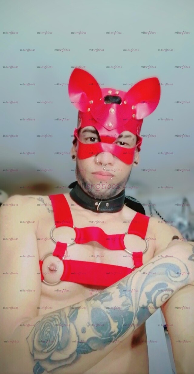 FOTOS DE MASAJISTA DOTADO 21 CM CON SITIO PRIVADO CEDRITOS LECHERO COMPLACIENTE 21 CM