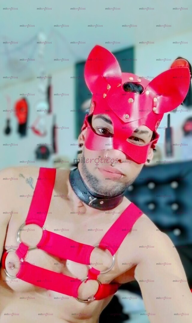 FOTOS DE MASAJISTA DOTADO 21 CM CON SITIO PRIVADO CEDRITOS LECHERO COMPLACIENTE 21 CM