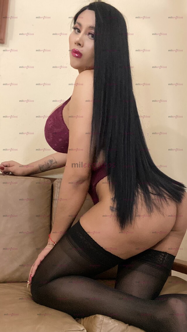 FOTOS DE TIJUANA SELENA GRACIE DIVINA TRANS PARA BUENOS GUSTOS SERVICIO EXCLUSIVO