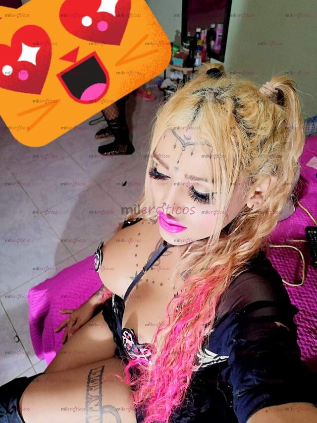 FOTOS DE KATALINA BELLA TRANS DISPONIBLE PARA DARTE LO QUE TU MUJER NO TEDA SEX3148016273