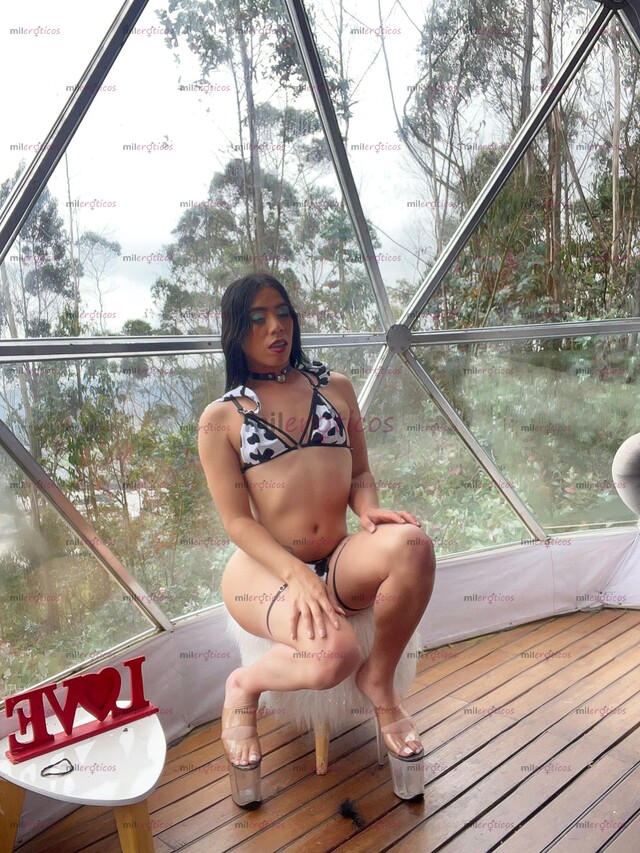 FOTOS DE ASHLY HERMOSA NIÑA TRANSEXUAL MODELO DE LUJO PARA HOMBRES SOLVENTES DE BUEN GUST