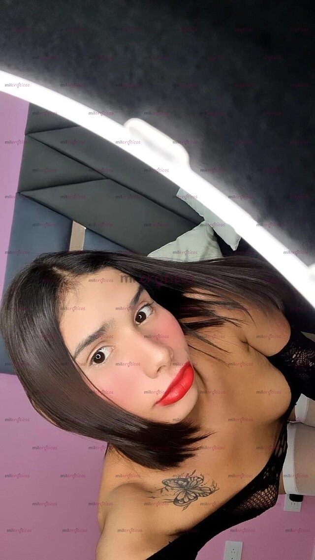 FOTOS DE RECIEN LLEGADA BOSA BRASILIA APTO PVD POLLITA NIFOMONA AGUANTADORA VERONICA