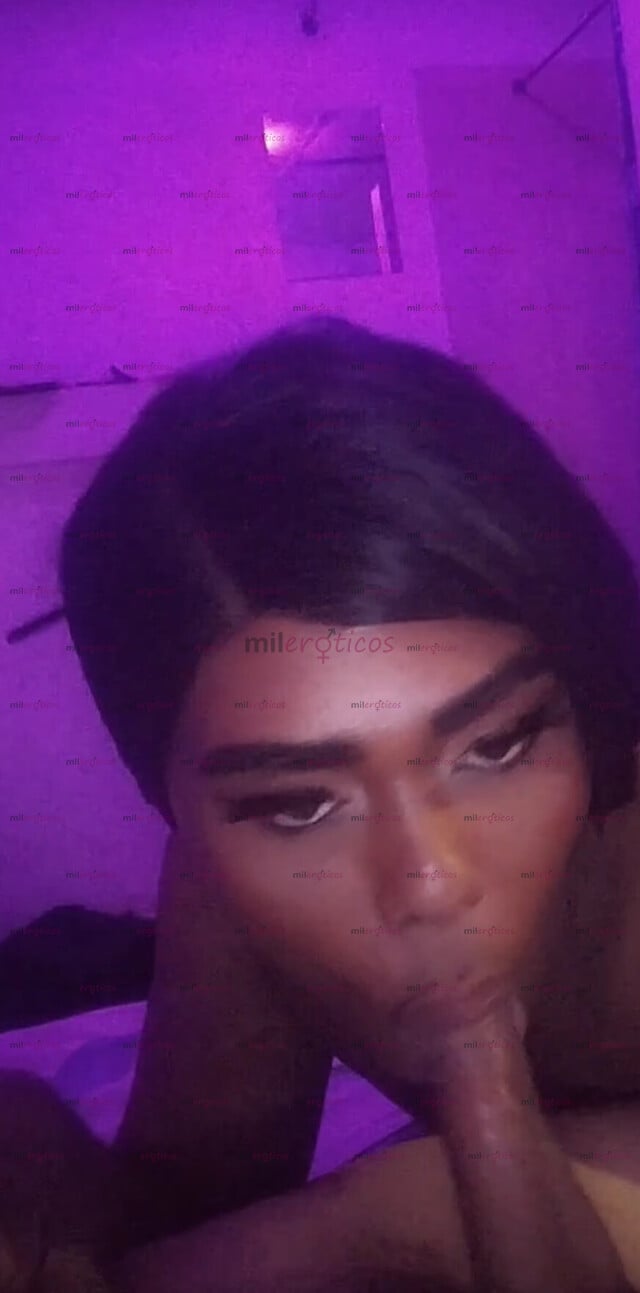 FOTOS DE HOLA SOY LA NEGRA DE TUS SUEÑOS VERGONA CULONA Y DESCOMPLICADA