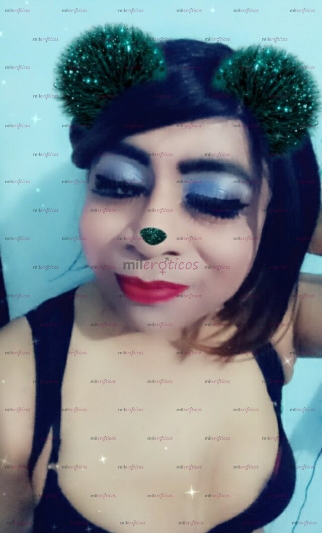 FOTOS DE TRAVESTI DE CLOSET, PASIVA ÚNICAMENTE, DISCRETA